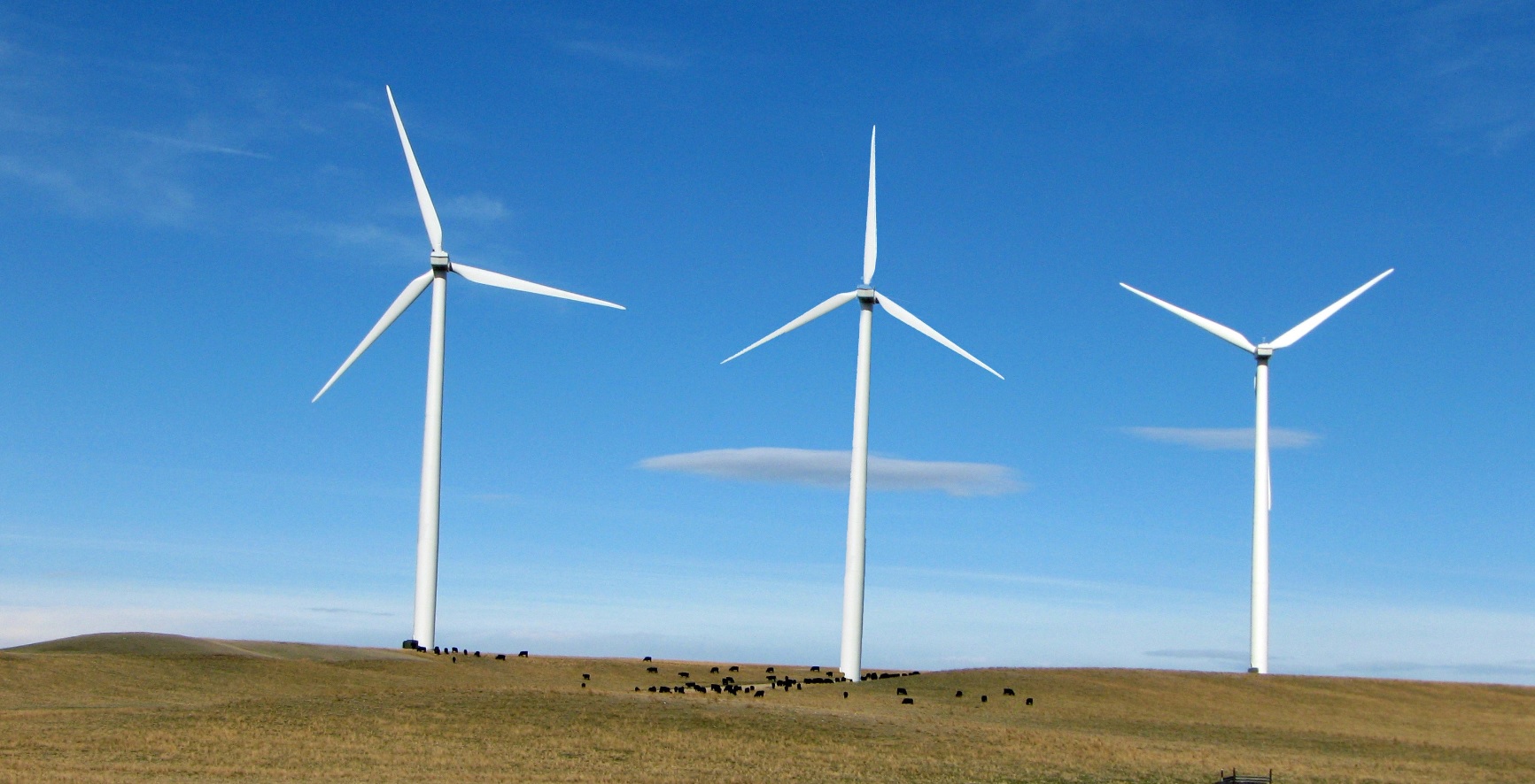 carbon-on-wind-energy